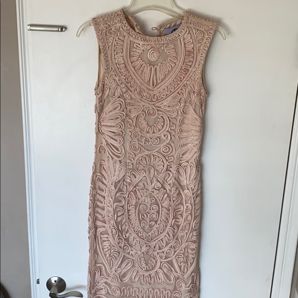 Beautiful Embroidered Pale Pink Gown